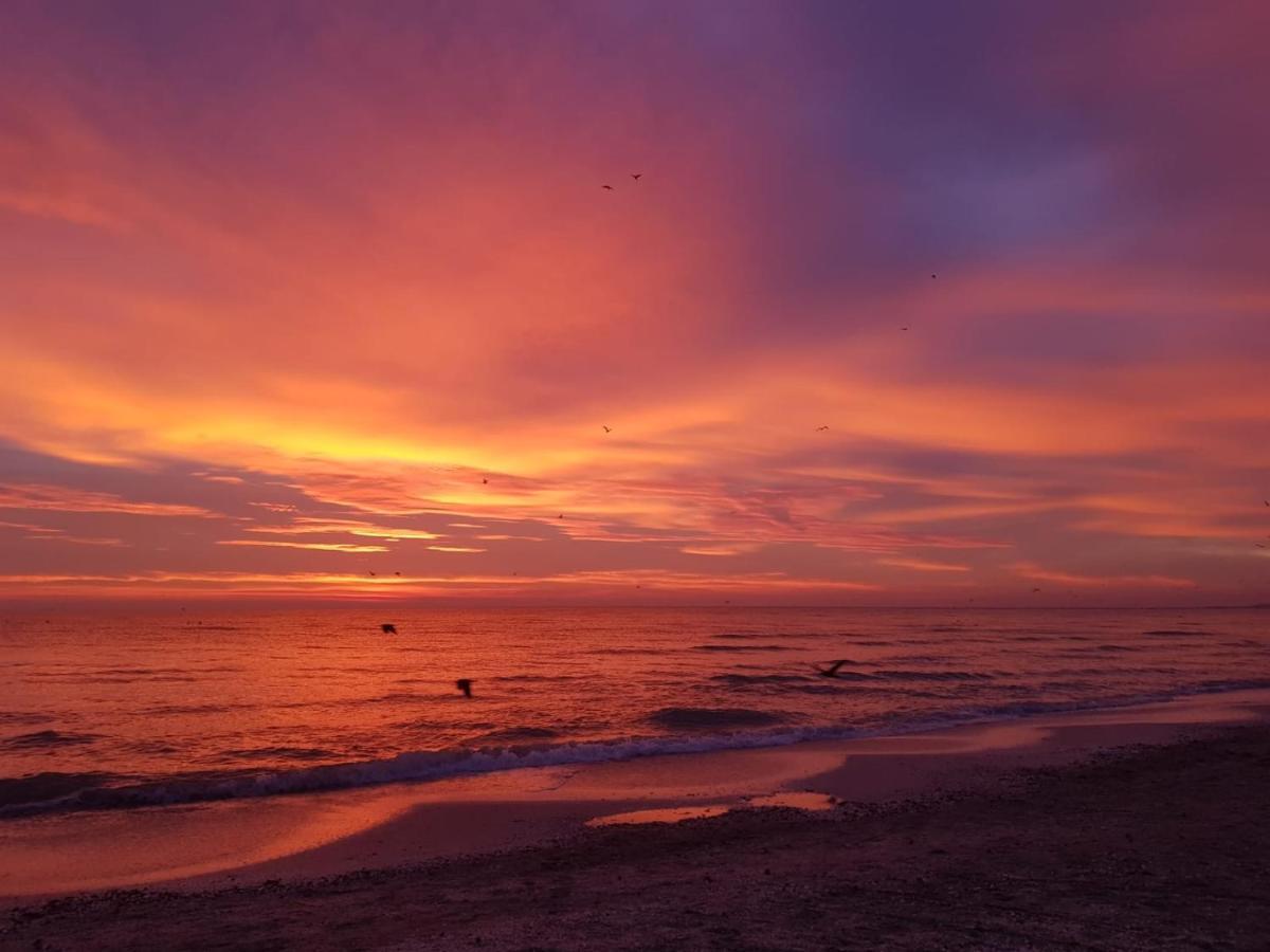 Caesar'S Studio Mamaia-Nord Eksteriør billede